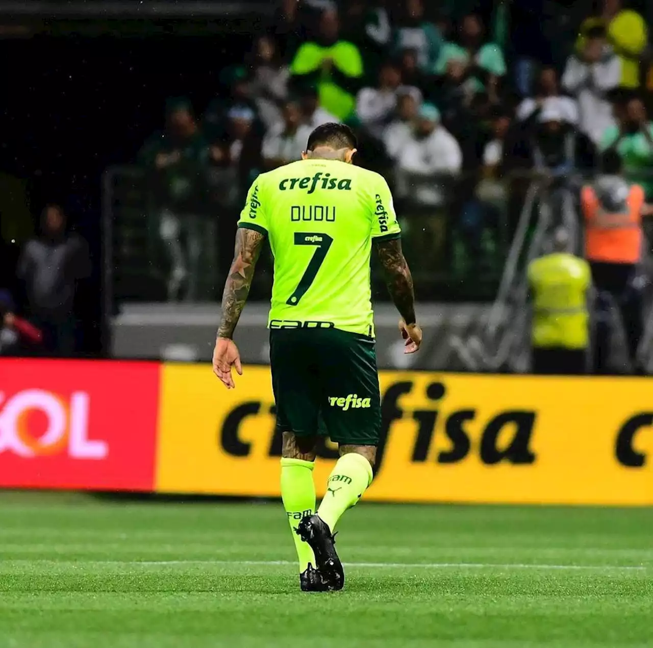 Entenda a diferença entre as torções nos joelhos de Dudu, do Palmeiras, e Tiquinho Soares, do Botafogo