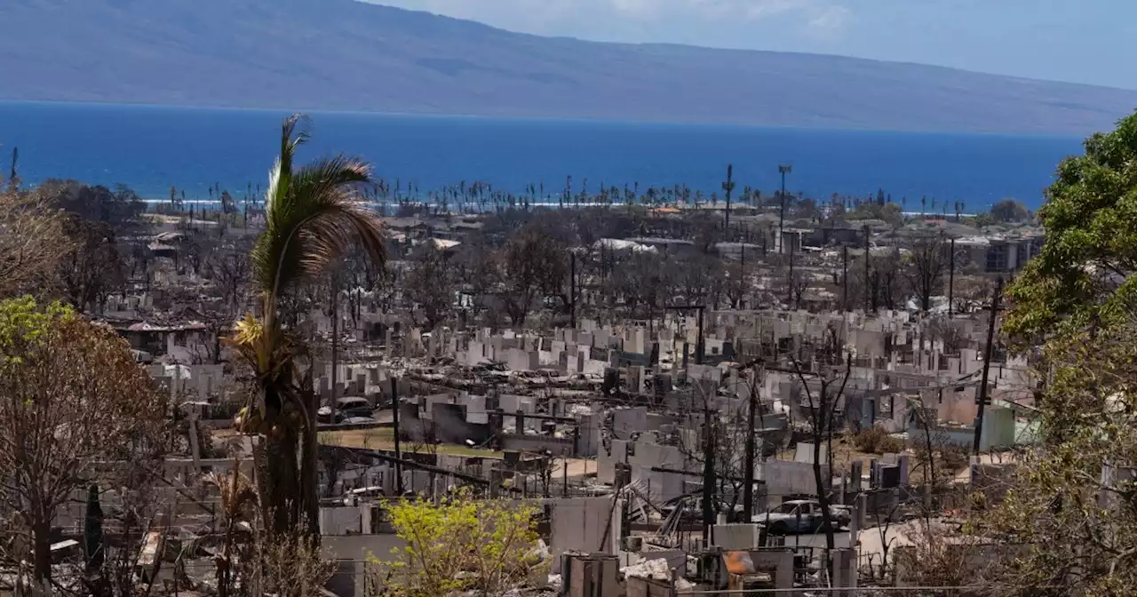 Another struggle after the Maui fires: keeping toxic runoff out of the ocean