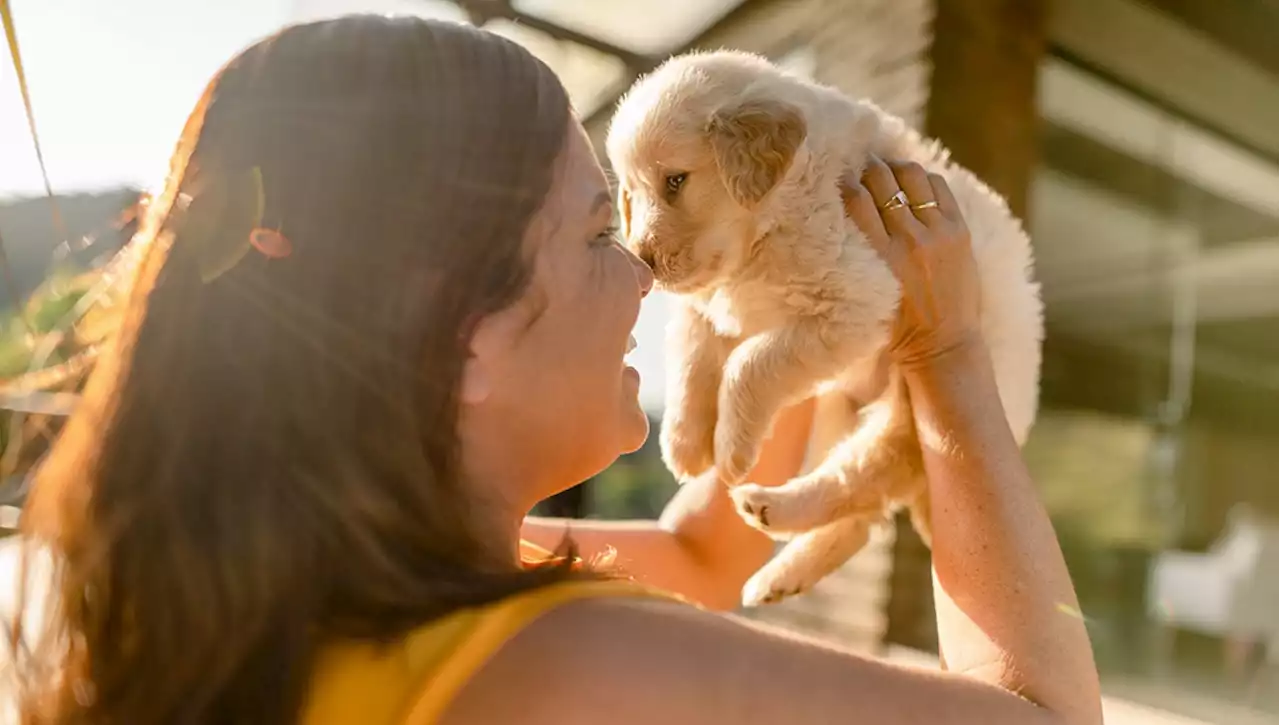 Il marito sceglie l’amante e per la moglie arriva un atipico regalo di addio: un cucciolo di cane di nome Mafalda