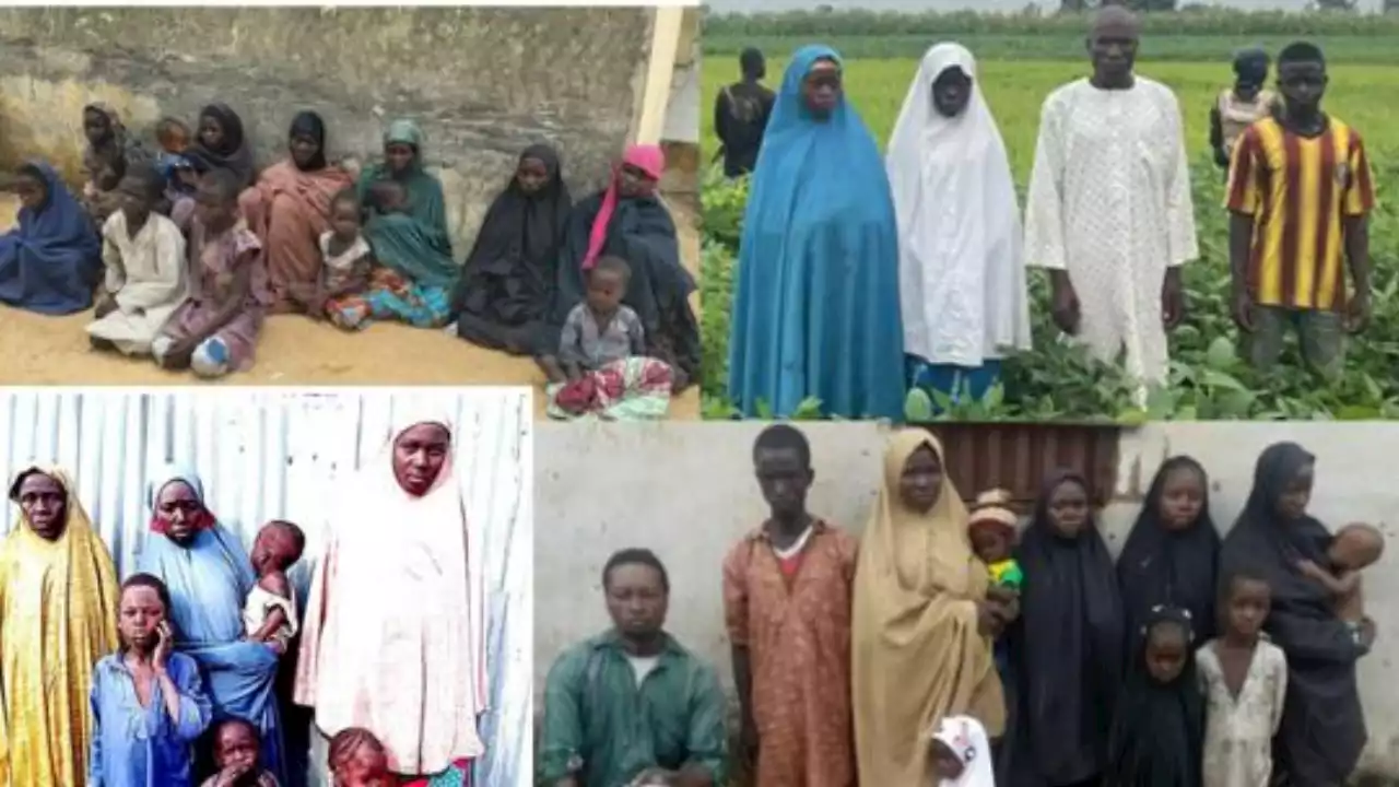 Troops Rescue 29 Kidnap Victims From Terrorists In Borno, Kaduna