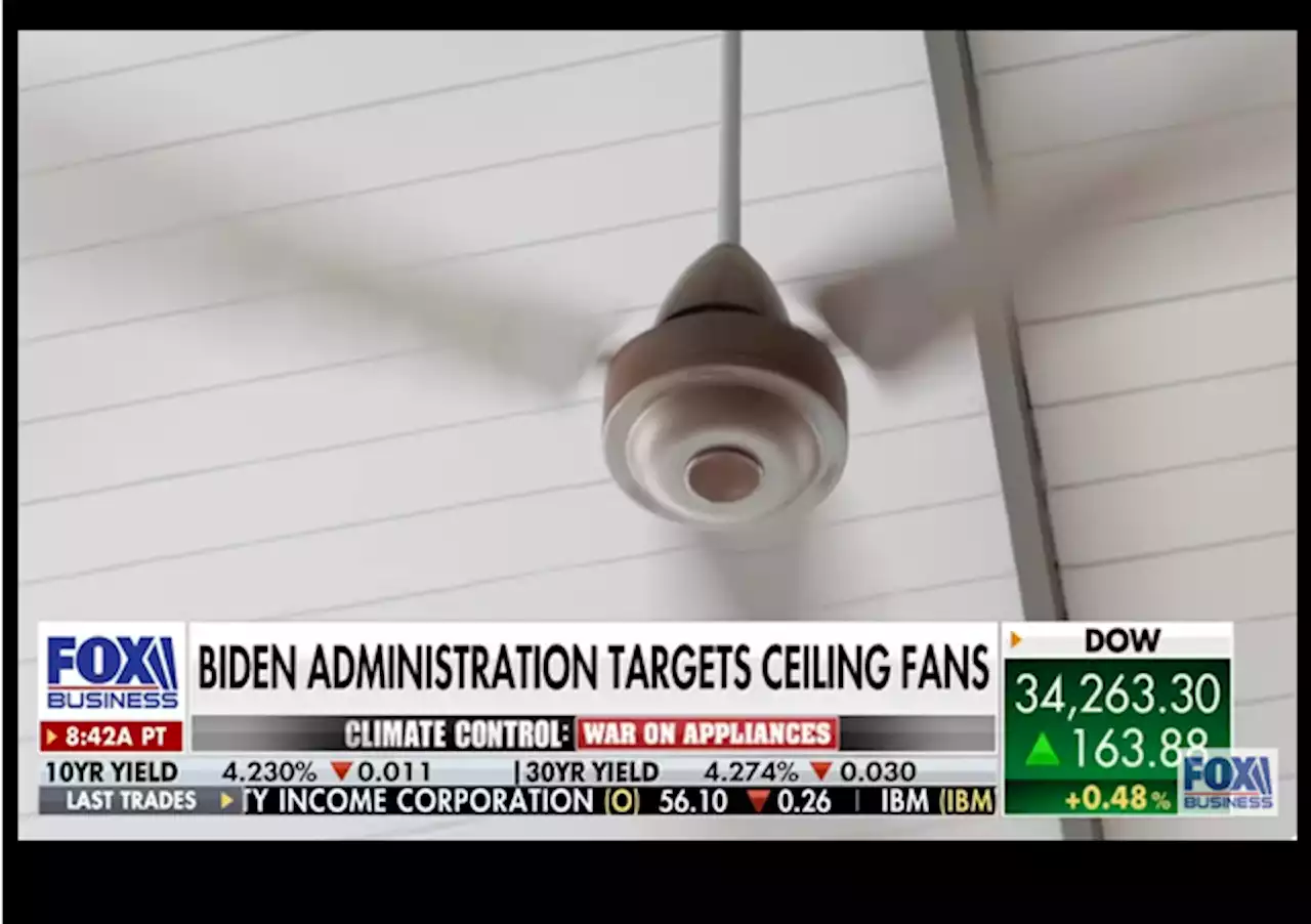 Biden’s Energy Department Is Now Coming for Our Ceiling Fans