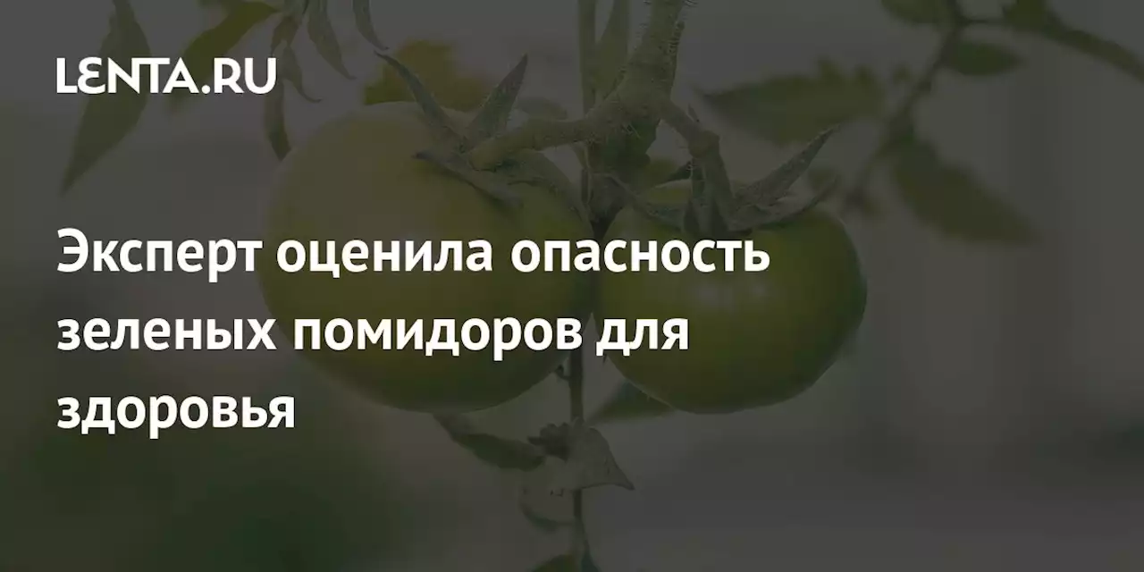 Эксперт оценила опасность зеленых помидоров для здоровья