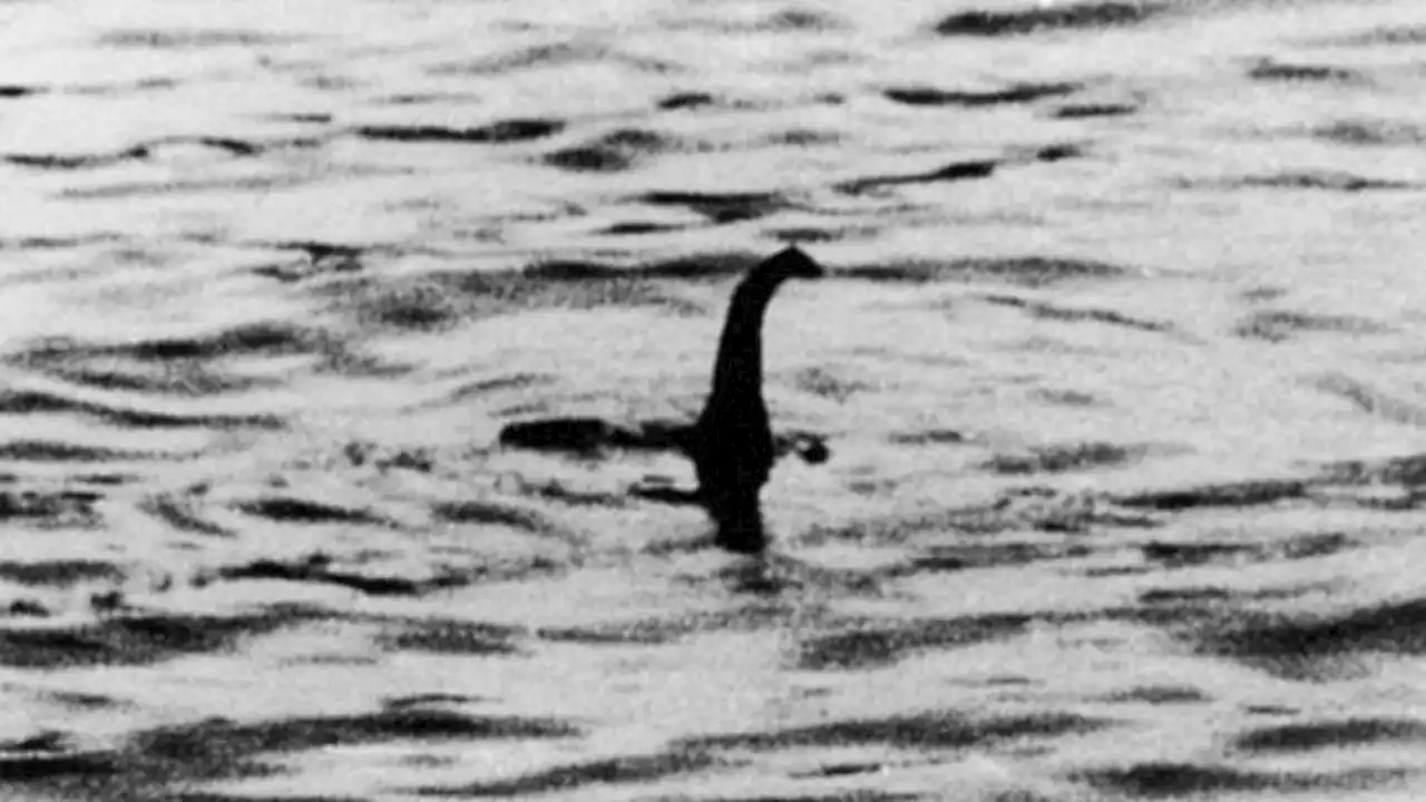 Beredar Video Wujud Asli 'Nessie' Monster di Danau Loch Ness