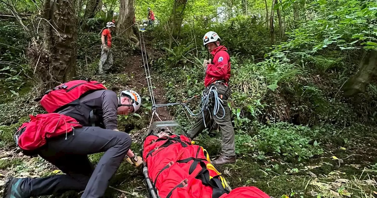 Pensioner falls 30ft down slope during walk with grandchildren