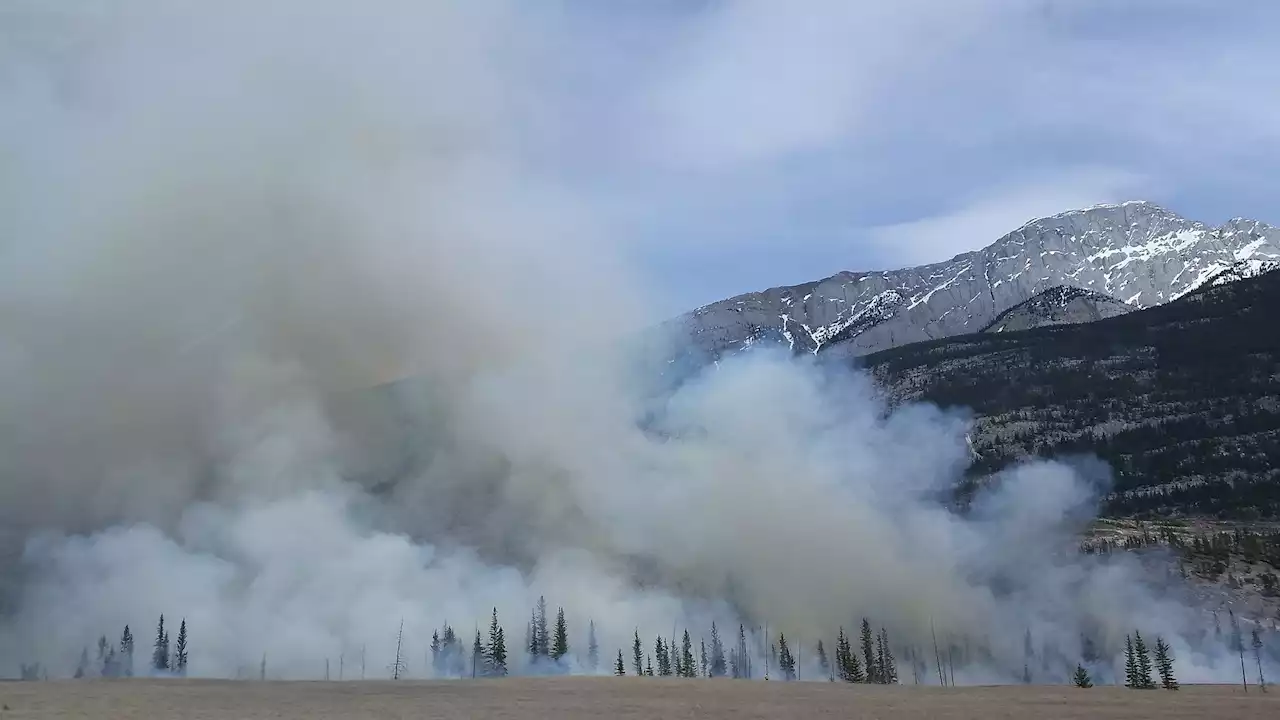 New research shows wildfire smoke impacts on the brain