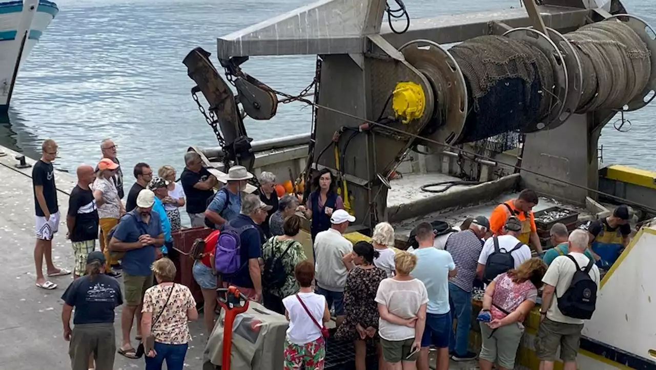 Agde : visites de la Criée aux poissons, foire aux produits du terroir... tous les rendez-vous de ce mardi 29 août