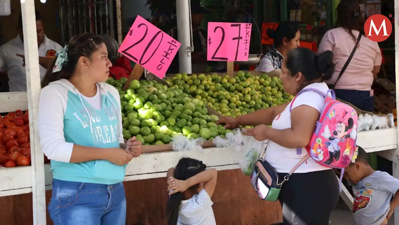 Costo limón Jalisco: Paro en Apatzingán sin influir en precio o abasto