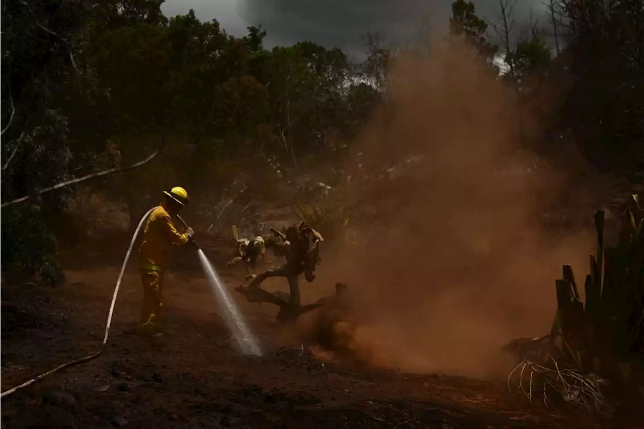 Hawaiian Electric says power lines did not cause deadly Maui blaze, blames county firefighters