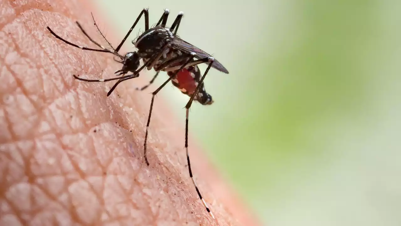 OC reports its first human West Nile virus case of the year