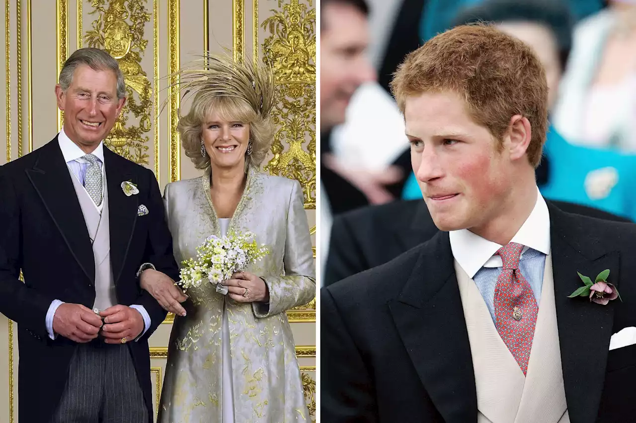 Prince Harry's reactions during King Charles and Camilla's wedding go viral