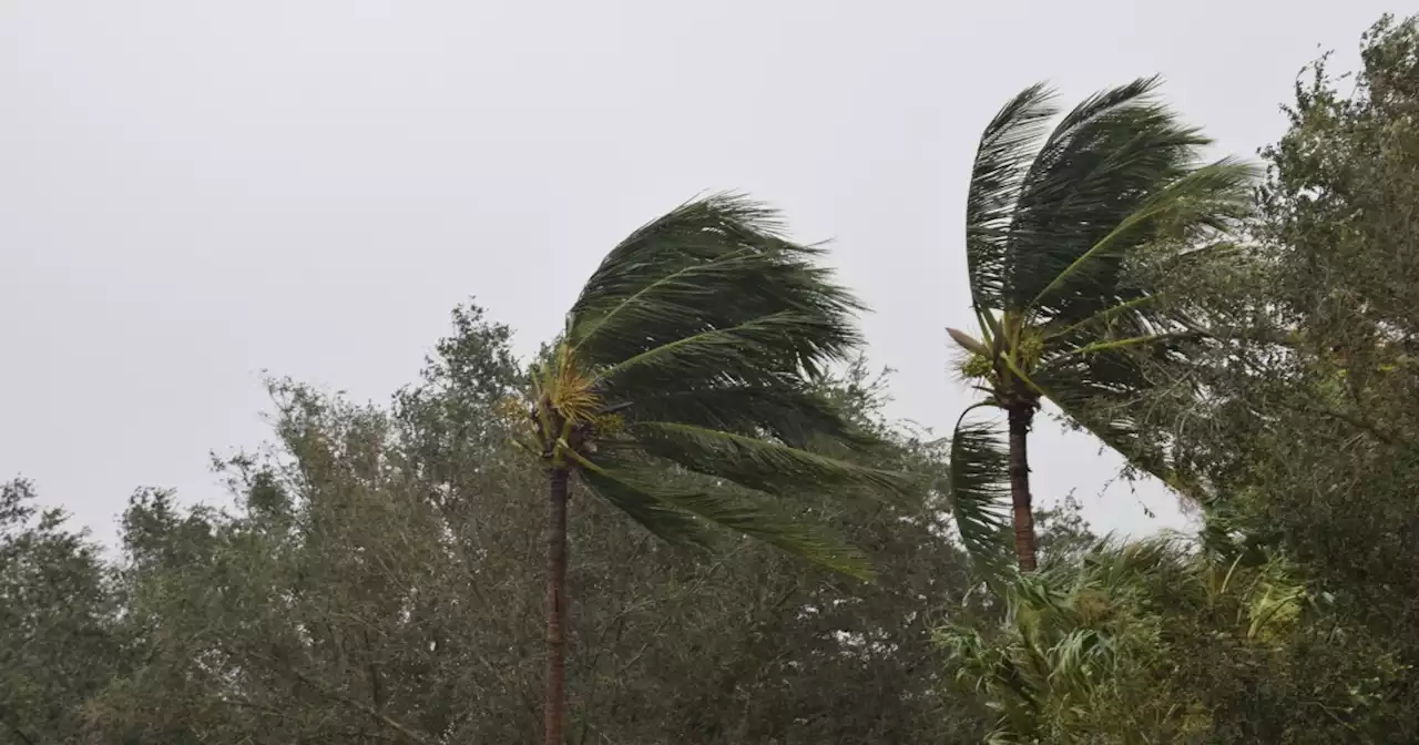 Por huracán Idalia, más de 1,6 millones de personas en Florida tienen orden de evacuar