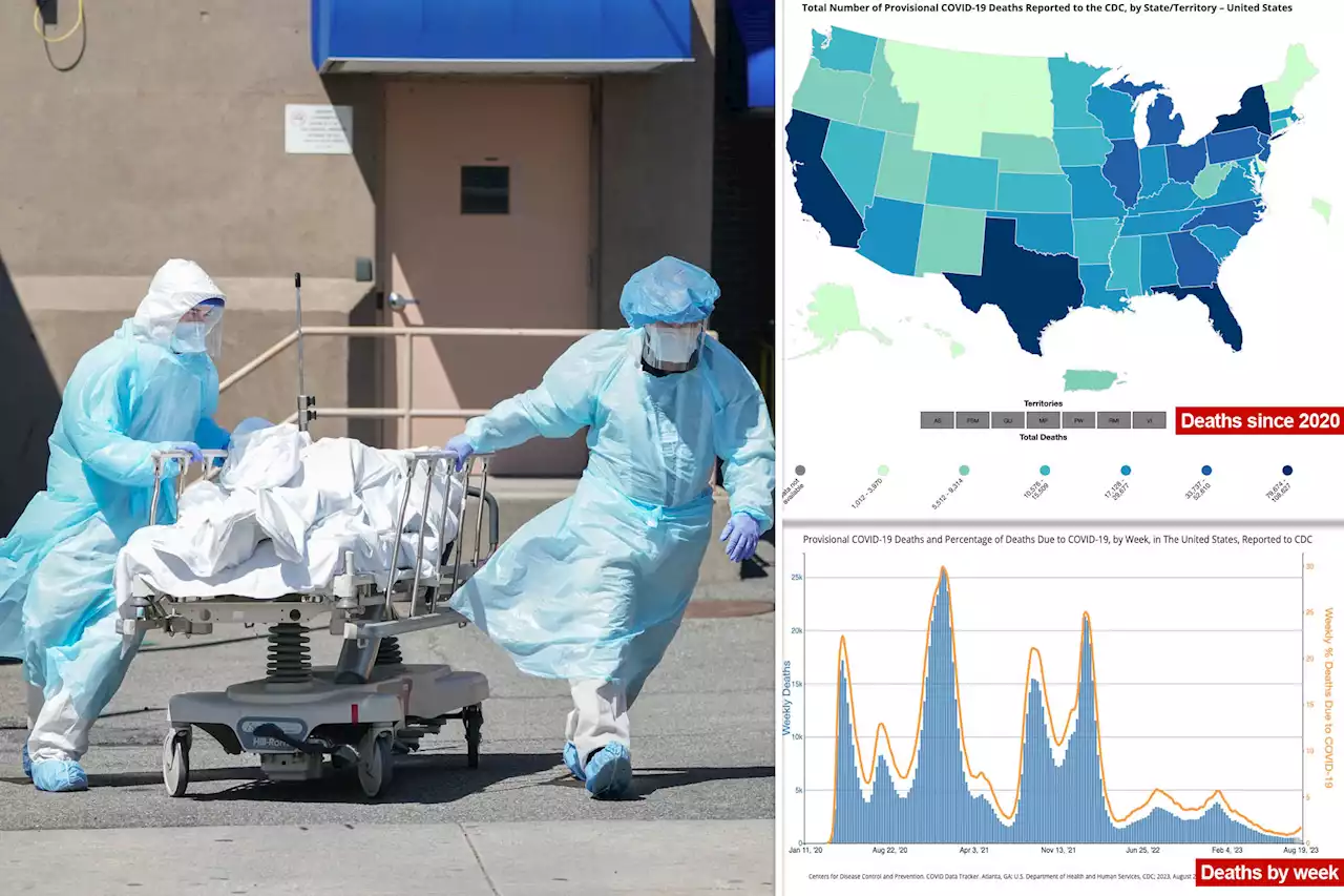 99% of new COVID-19 deaths reported by CDC not just due to virus: data