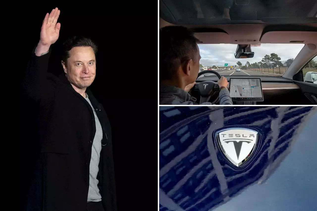 Elon Musk almost runs red light livestreaming Tesla’s self-driving software