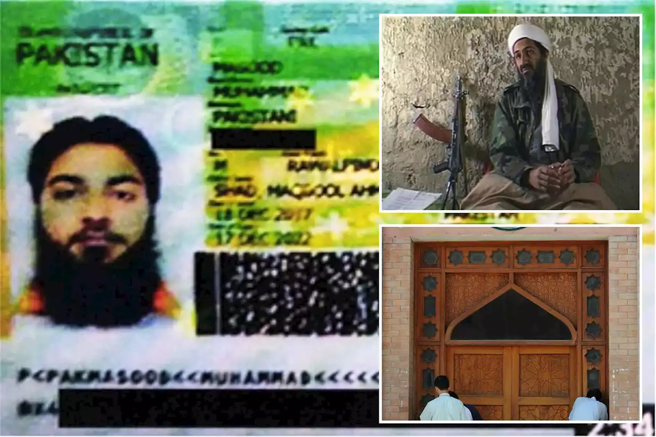 H-1B doctor’s jihadist plot: How well do we vet visa applicants?