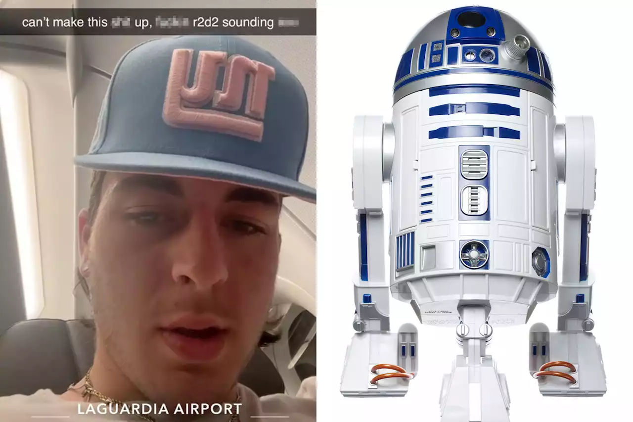 Screaming baby on airplane compared to R2D2, ‘cat in heat’ in viral video