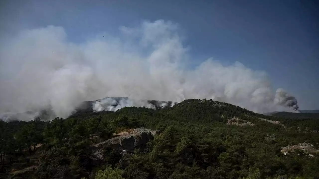 La Grèce affronte « le plus grand incendie jamais enregistré dans l’Union européenne »