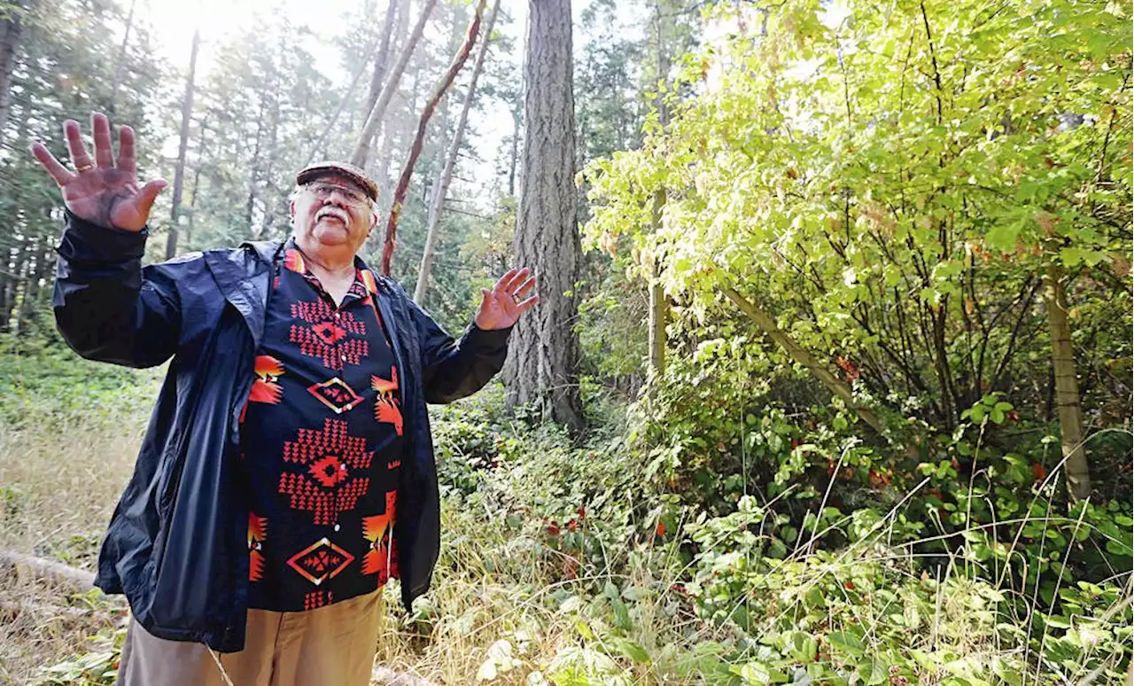 Fallow deer kill essential to survival of Sidney Island: First Nations