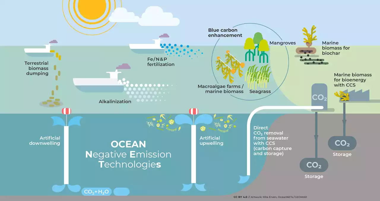 Ocean-based negative emissions technologies: A governance framework review