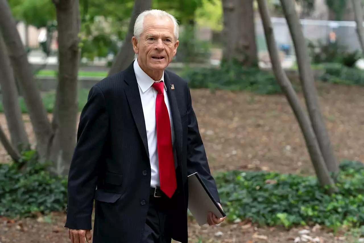 Peter Navarro, facing trial for contempt of Congress, says Trump invoked executive privilege