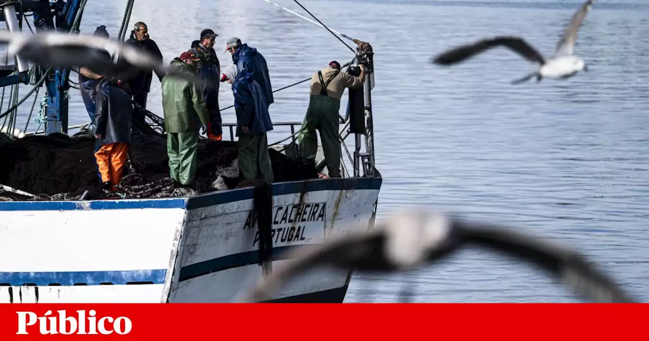 Mar 2030 garante 90 milhões da UE para apoiar a aquacultura