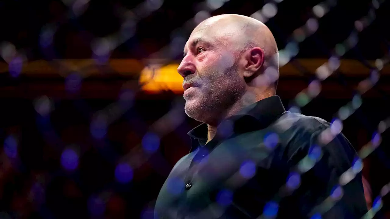 UFC: Dana White promet une récompense pour retrouver son cambrioleur