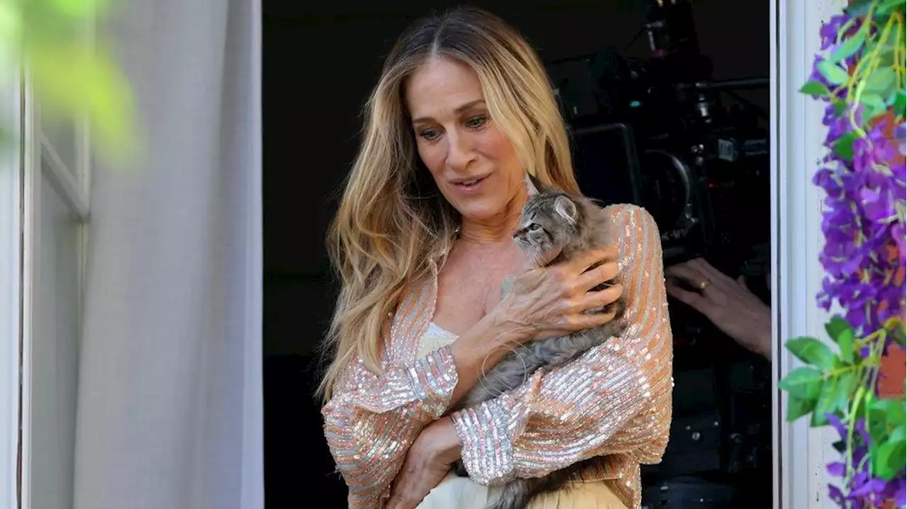 Sarah Jessica Parker adoptierte die Katze von Carrie Bradshaw