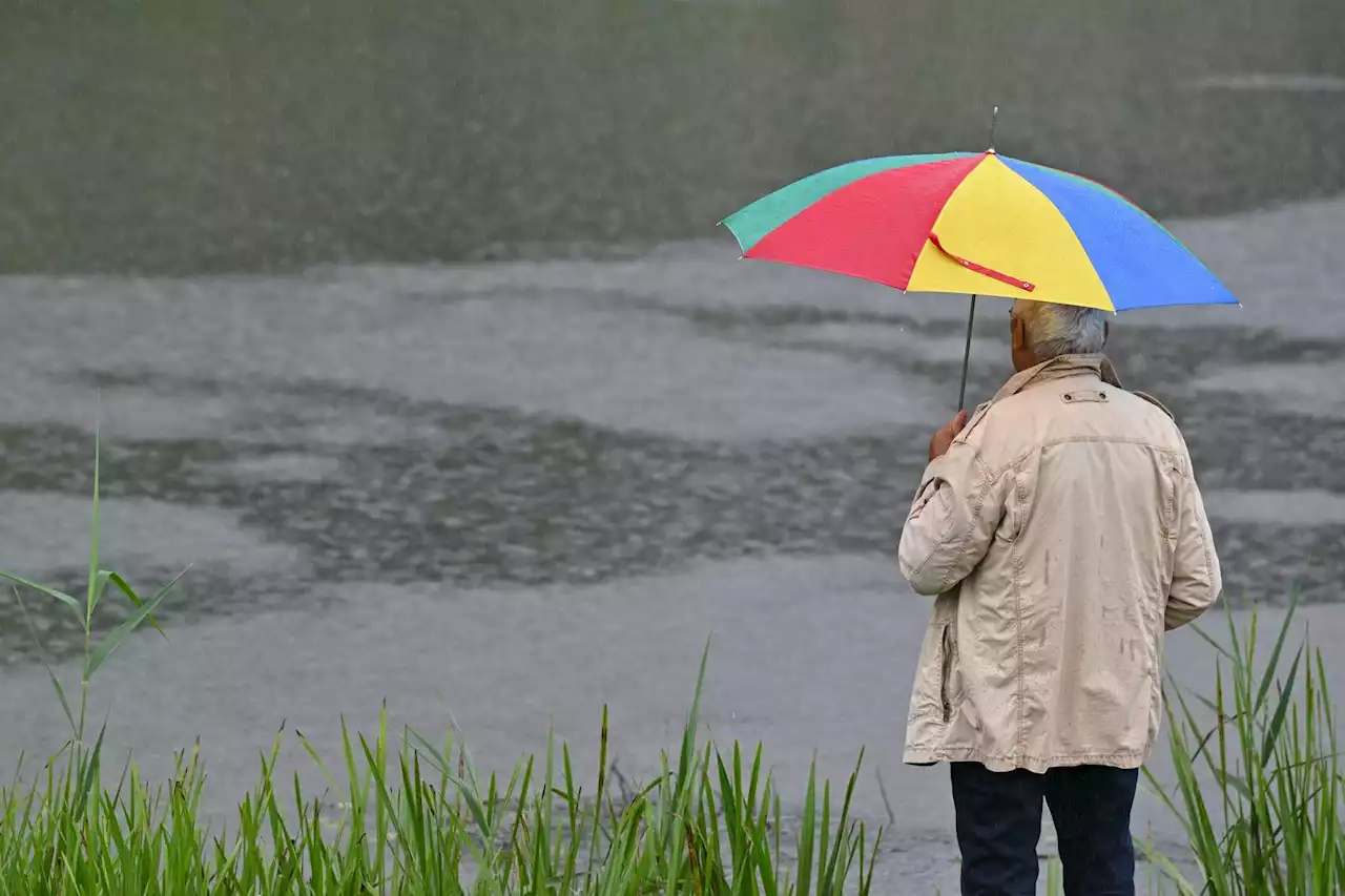 Umweltminister: Deichbau an der Schwarzen Elster im Fokus