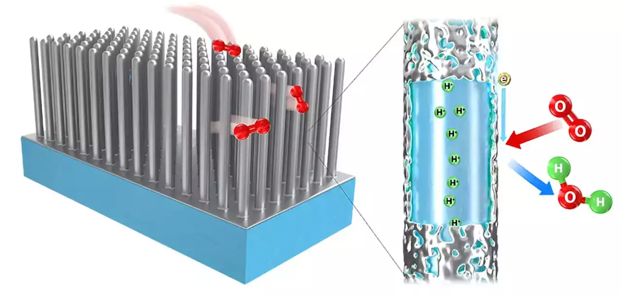 Nanowire Innovation: Revolutionizing Fuel Cells With Enhanced Durability