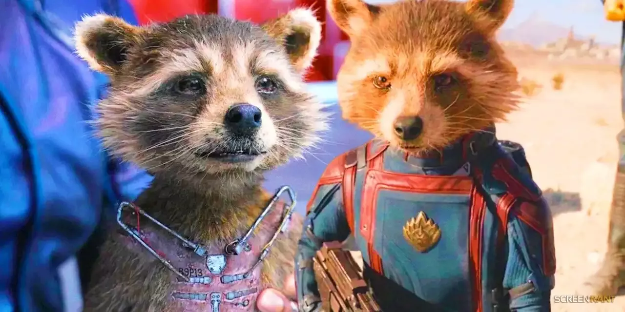 Rocket Raccoon's MCU Story Arc Explained By A Therapist Makes James