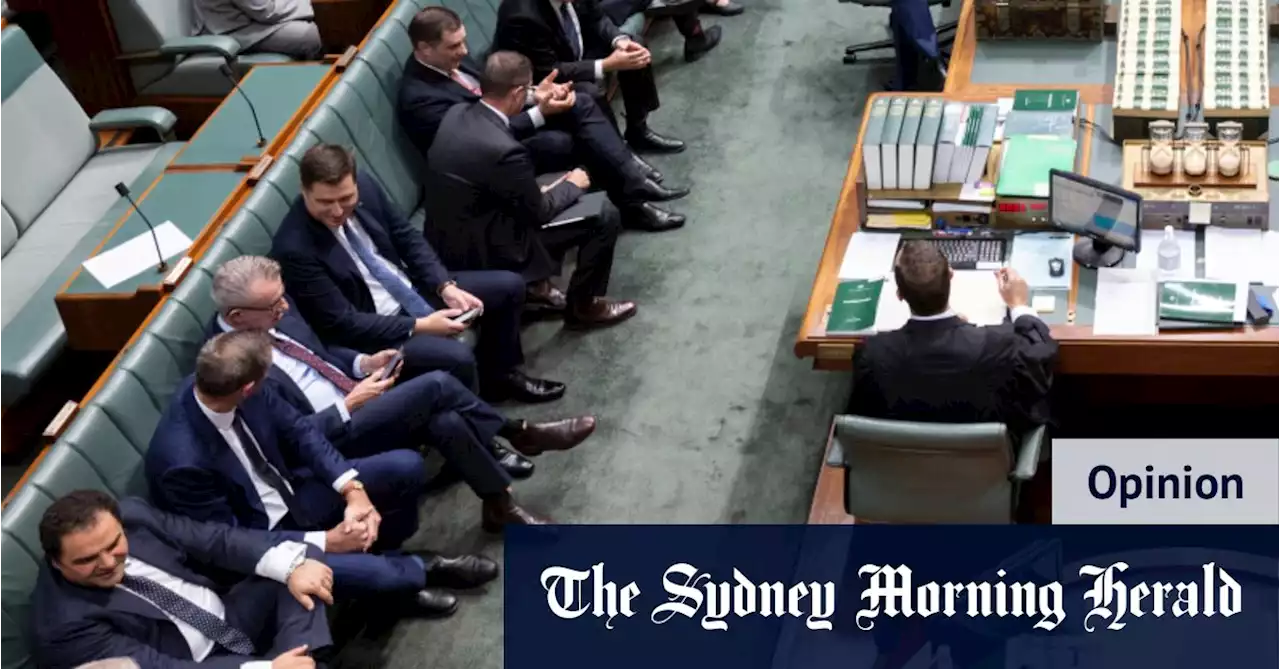 If there’s one thing Australia needs, it’s more federal MPs. No, really