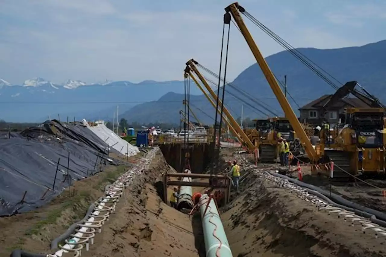 Trans Mountain facing intense deadline pressure to finish pipeline on time: Documents