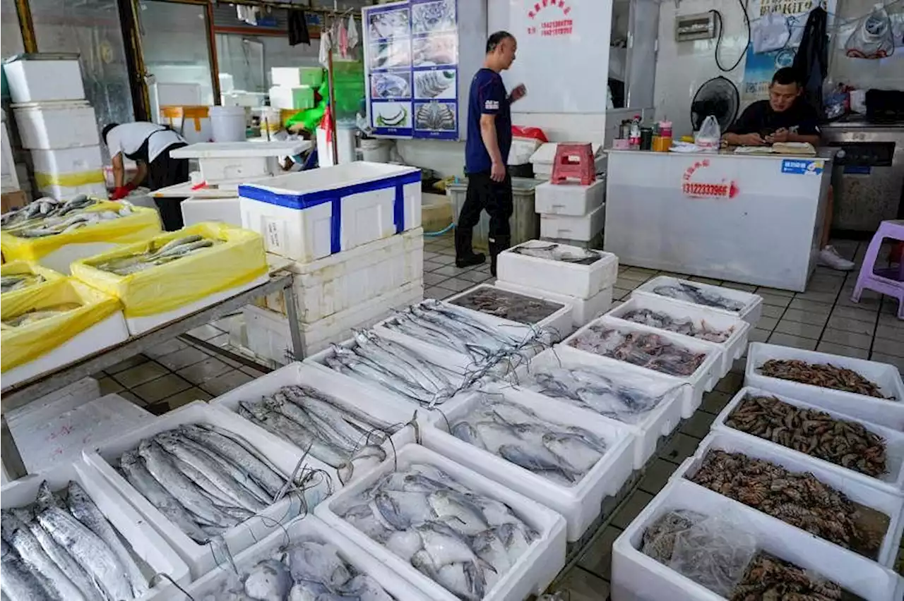 Japan may take China to WTO over Fukushima-driven seafood import ban