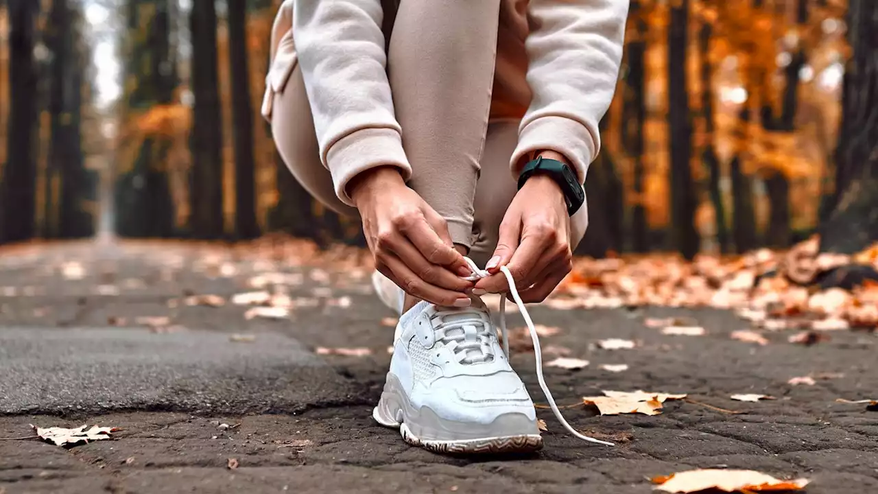 Gefütterte Sneaker Trends 2023: Diese Modelle halten Ihre Füße warm