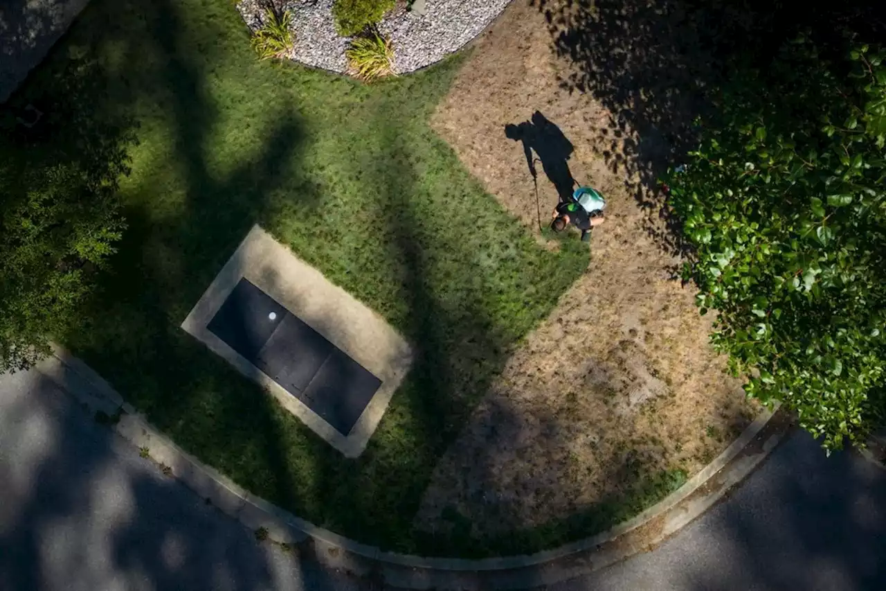 The grass that's greener in drought-stricken B.C. might have been painted