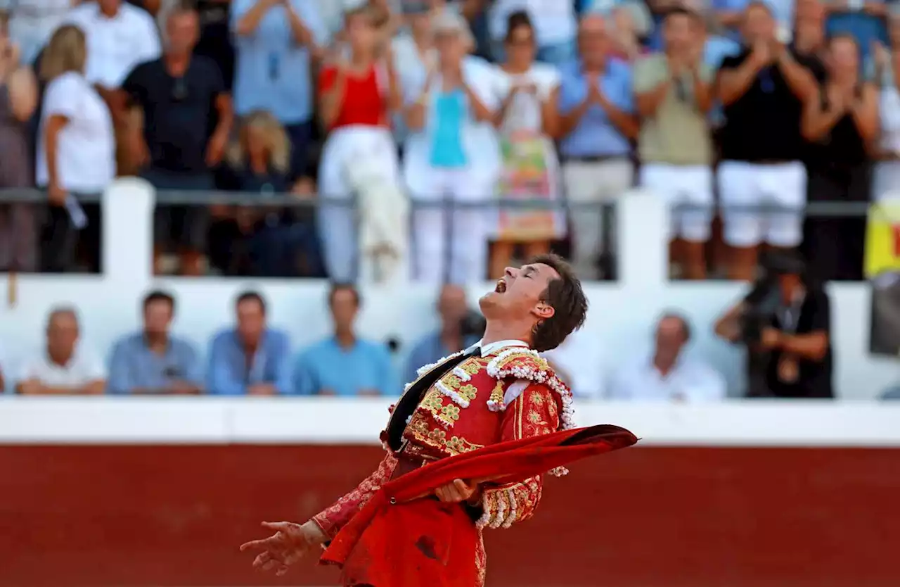 Landes : rendez-vous dans les arènes de Bayonne, rééducation de Daniel Luque et un Santiago Domecq gracié dans nos échos taurins