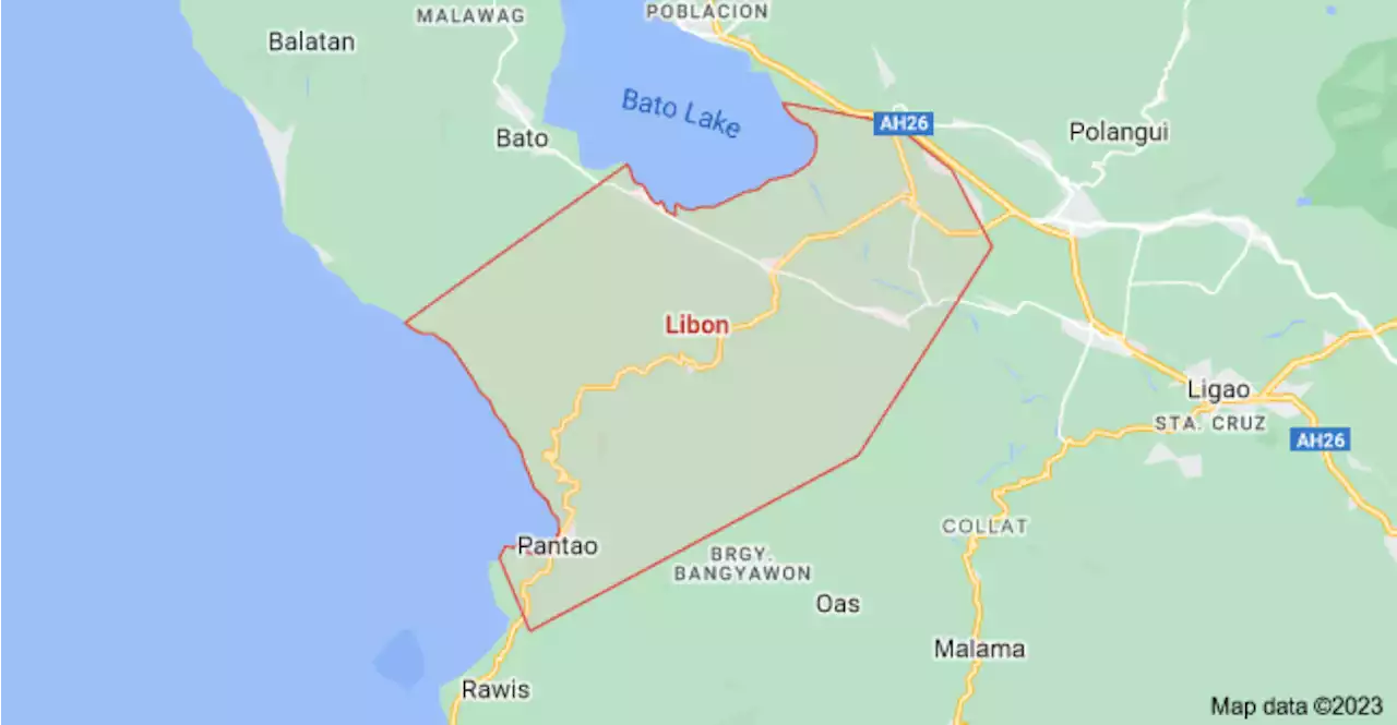 Barangay exec in Albay town gunned down after filing COC