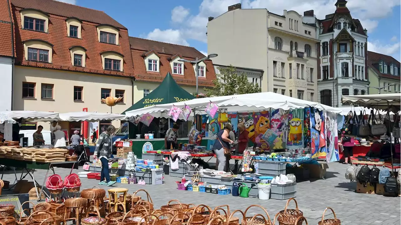 Brandenburg-Tag: Das Land präsentiert sich in Finsterwalde