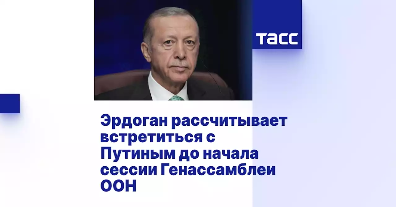 Эрдоган рассчитывает встретиться с Путиным до начала сессии Генассамблеи ООН