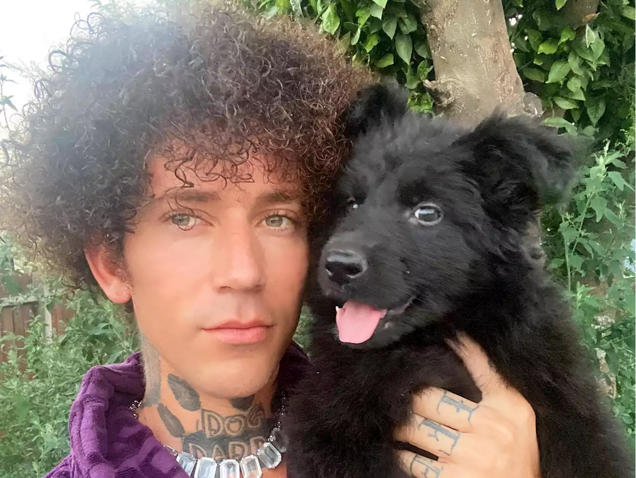 WARMINGTON: The Dog Daddy is in dog house, but will he still bark out training tips in Toronto?