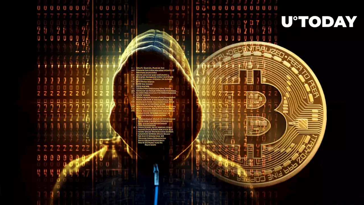 5th Biggest Mysterious Bitcoin Wallet Owner Is Somebody Totally Unexpected: Report