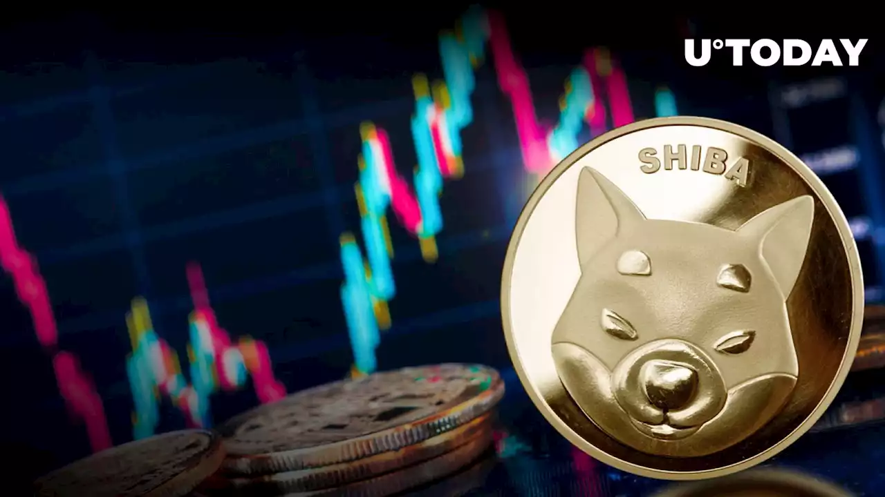 Shiba Inu Price Decoded: Here's What SHIB Community Can Expect in September