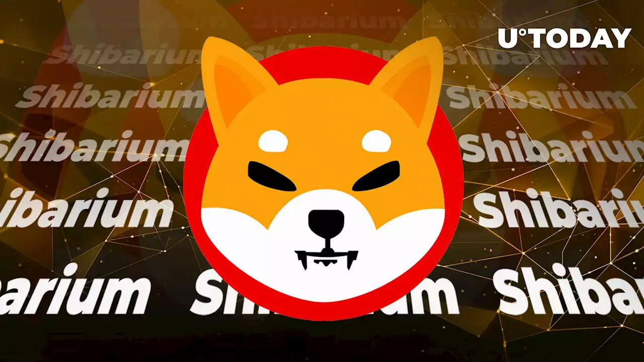 Shibarium Receives Major Boost as Shiba Inu (SHIB) Partner Launches Own Validator Node