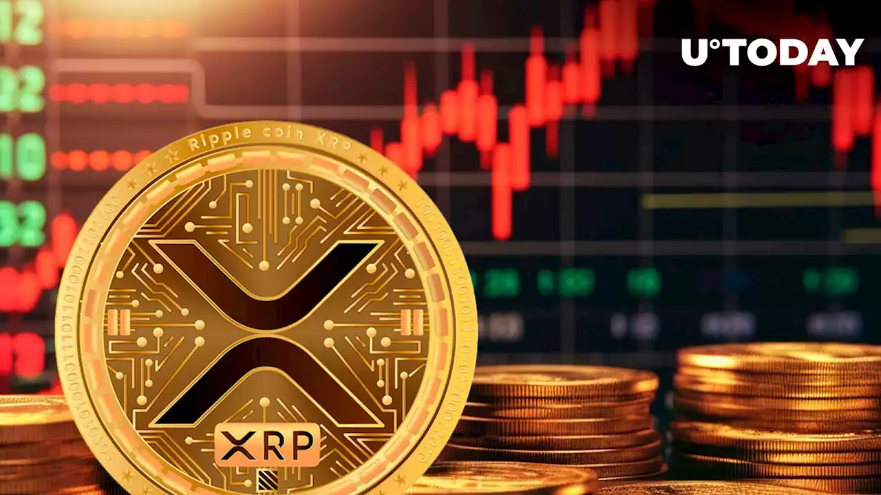 XRP Stands Out: Worst Week for Crypto Funds Since March