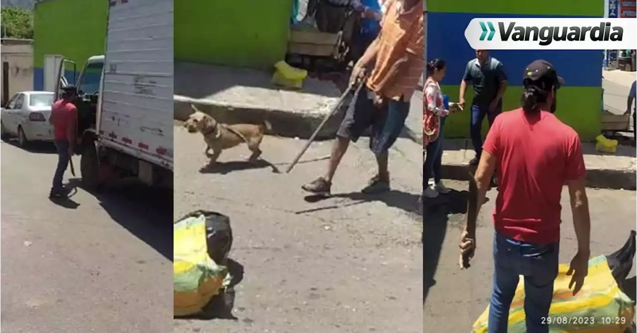 Aterrador: conductor de un camión hirió con un machete a un perro en Piedecuesta