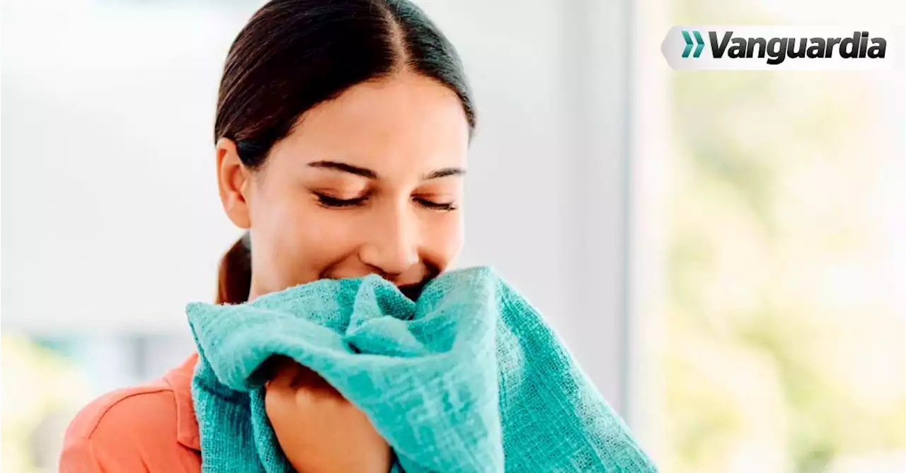 ¿Cómo eliminar el olor a humedad de las toallas de baño? Siga estas recomendaciones