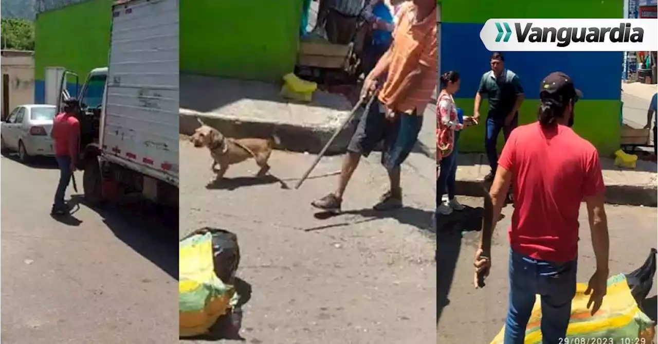 Video: denuncian aberrante caso de maltrato contra un perro en Piedecuesta