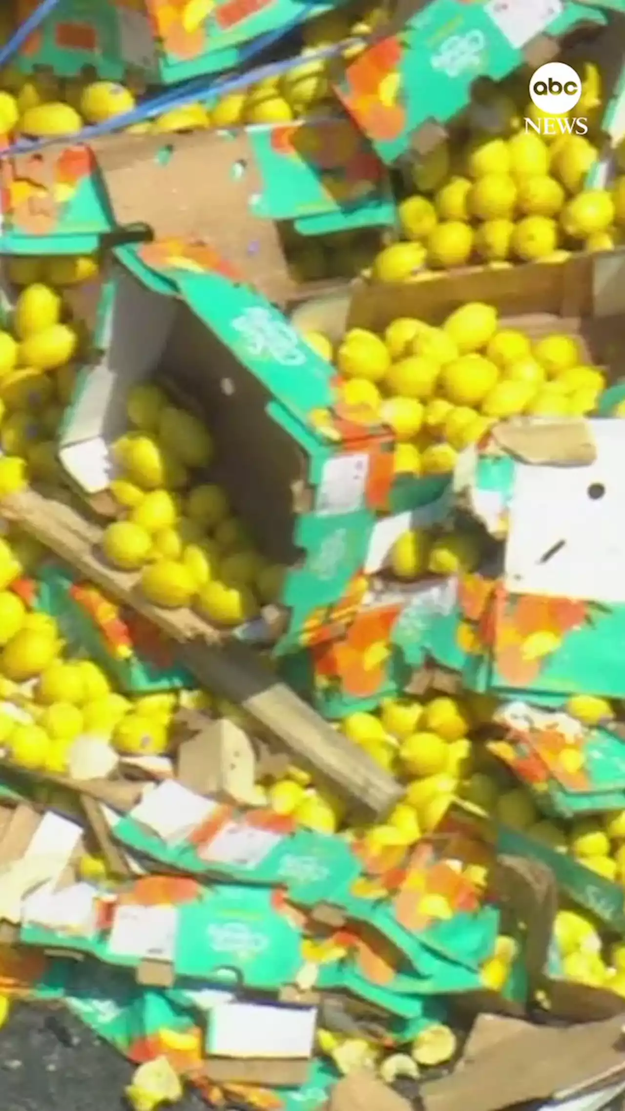 Truck carrying lemons overturns on New Jersey highway, police say