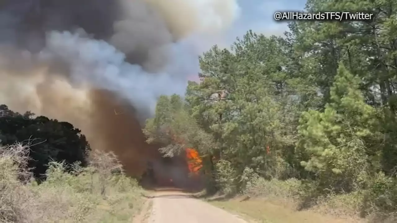 Snowhill Fire in San Jacinto County 100% contained, but 2 firefighters suffer burn injuries