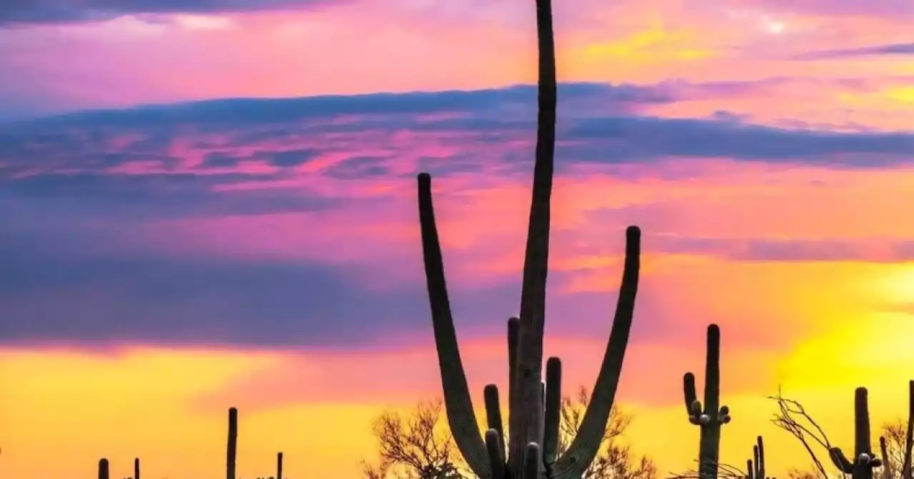 Longer, dangerous heat waves raise concerns over increased seasonal affective disorder