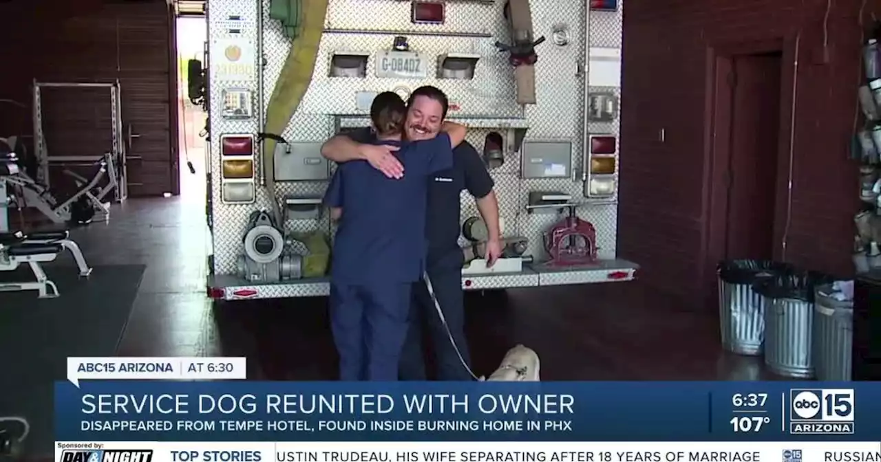 Woman reunites with service dog, meets firefighter who saved dog's life